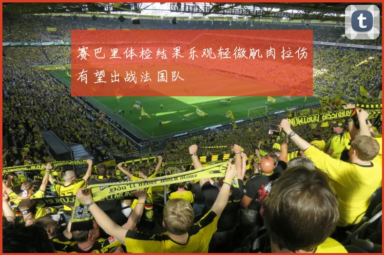 赛巴里体检结果乐观轻微肌肉拉伤有望出战法国队