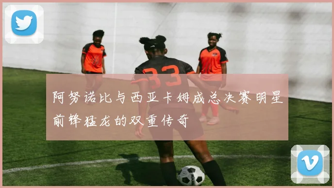 阿努诺比与西亚卡姆成总决赛明星前锋猛龙的双重传奇